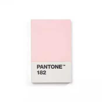 PANTONE Vizitkové puzdro – Light Pink 182