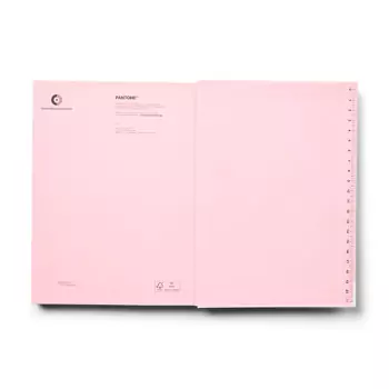 PANTONE Zápisník bodkovaný, veľ. L – Light Pink 13-2006