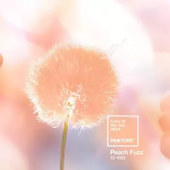 PANTONE Pútko na kľúče S – Peach Fuzz 13-1023 (farba z roku 2024)