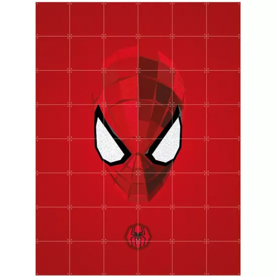 Skladaný obraz IXXI – Icon Spider–Man