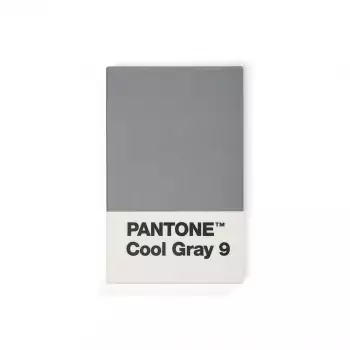 PANTONE Vizitkové puzdro – Cool Gray 9